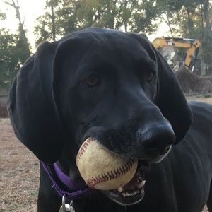 Meet your Posher, Bill